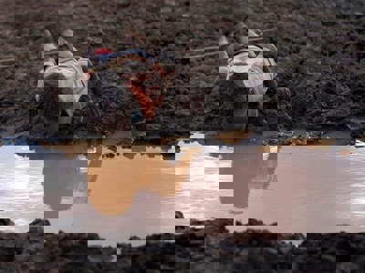 Ngày Nước thế giới 2026: Khi hơn 2 tỷ người vẫn thiếu nước sạch…