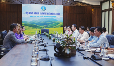 UNICEF cam kết trẻ em luôn là trung tâm của mọi hoạt động hỗ trợ quốc tế