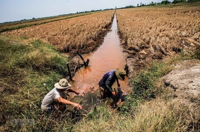 Chủ động ứng phó với xâm nhập mặn tại ĐBSCL