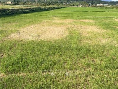 Quảng Trị chủ động ứng phó hạn mặn